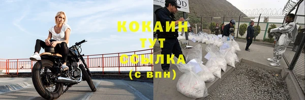 СК Богородицк